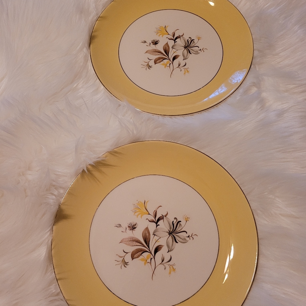 2 Vintage Plates